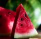 Tips To Identify Rotten Watermelon